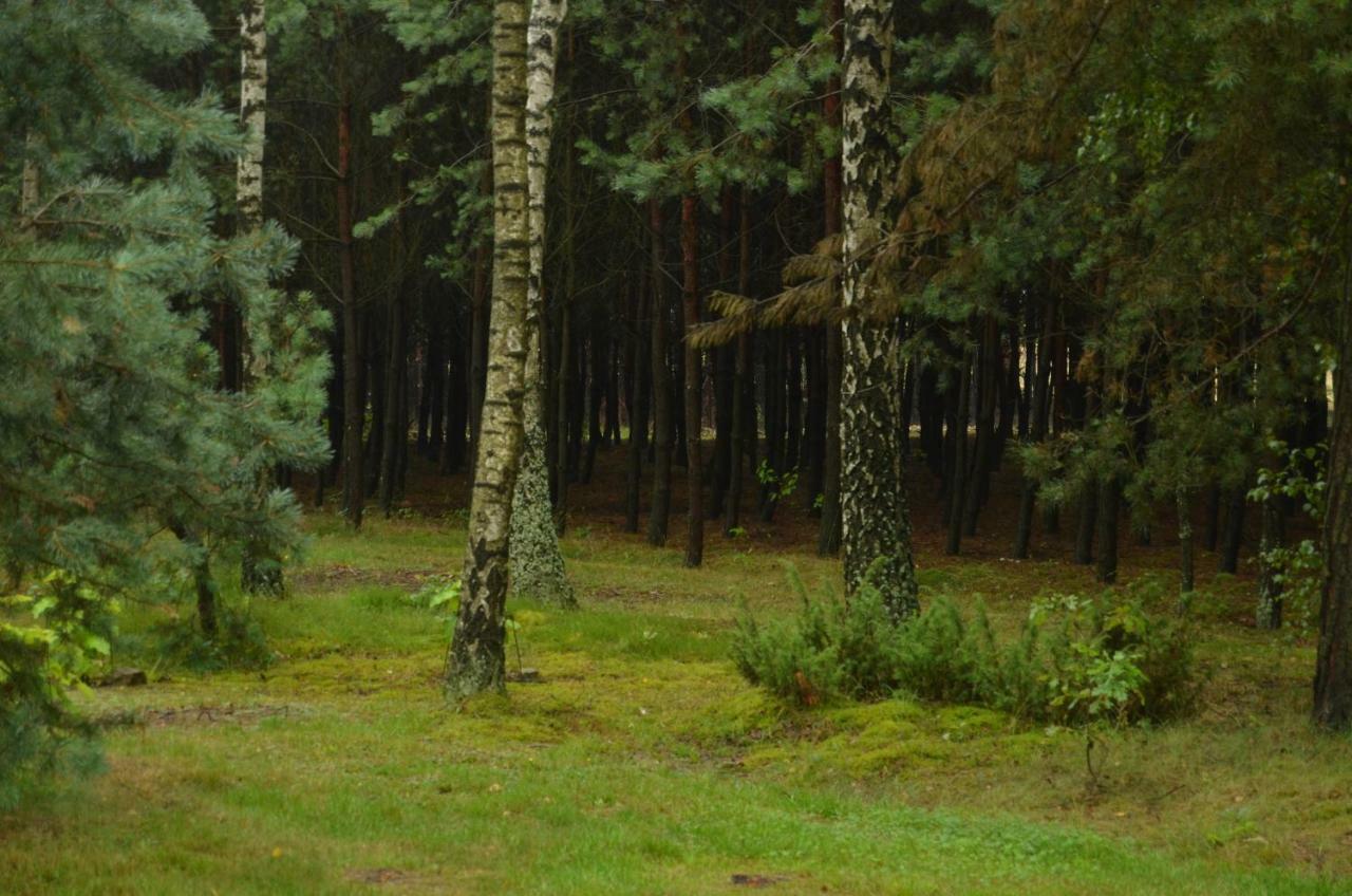 Zofijowka Villa Osjaków Buitenkant foto