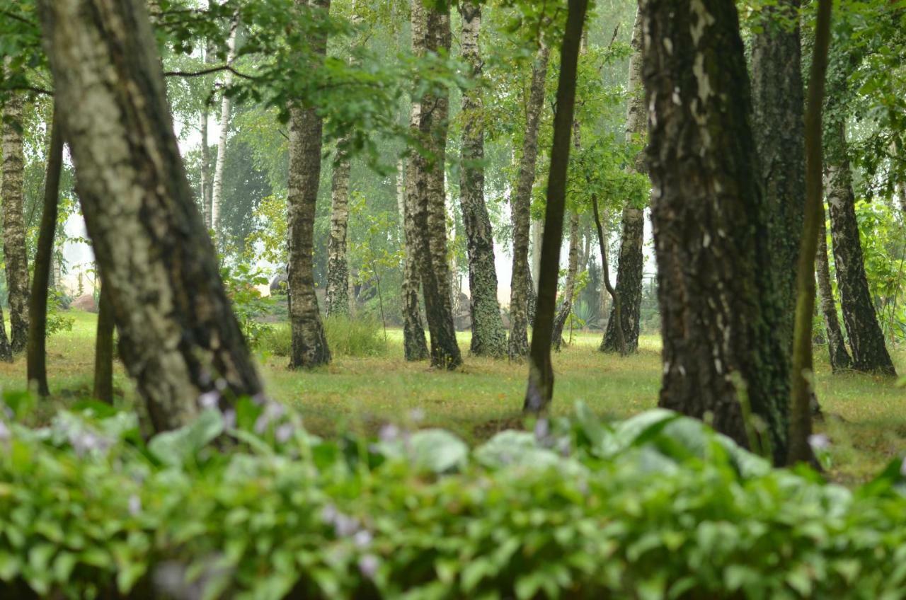 Zofijowka Villa Osjaków Buitenkant foto